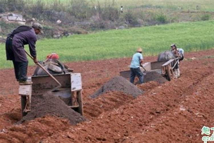 氧化钙与氧化硅如何反应