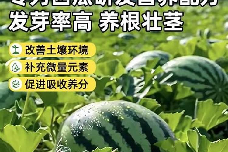 复合肥可以兑水浇到西瓜苗根上吗？