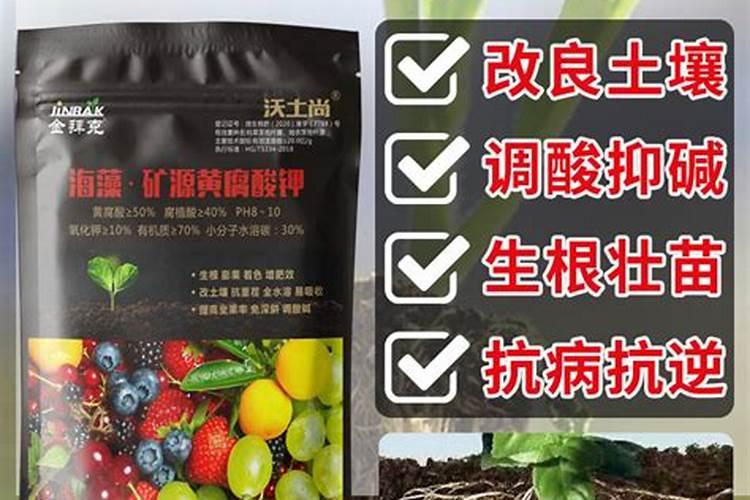 罗布泊黄腐酸型硫酸钾的核心成分与普通硫酸钾有何差异？优势在哪里？