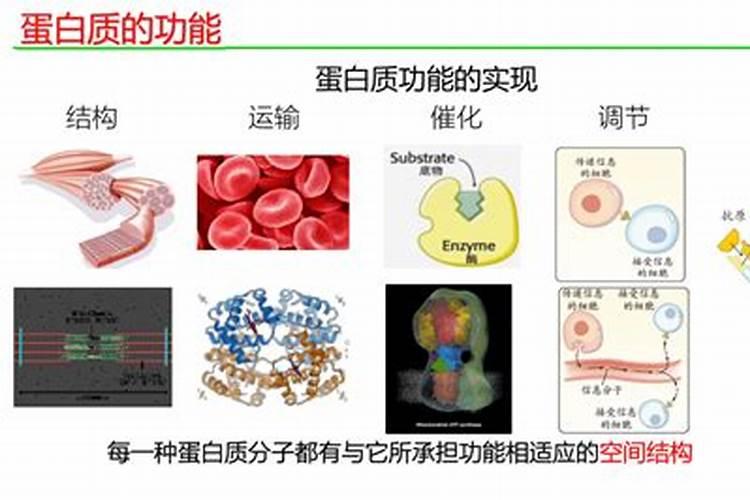 疏菜糖钙的对水比例是多少