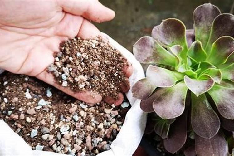 重庆万州蔬果如何玩转智慧农业？