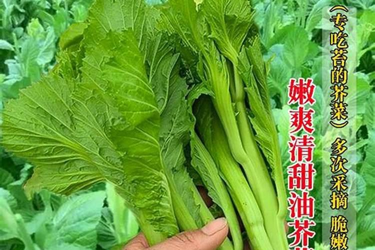 氮磷钾肥的作用是什么