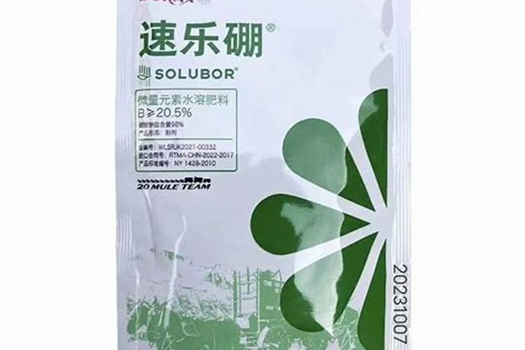 牙床长了个白色的东西该怎么办