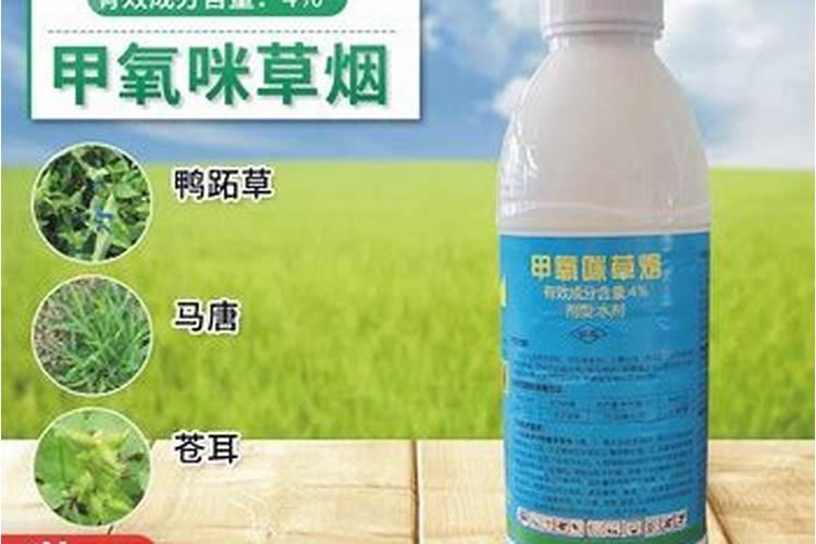 小麦拔节期后喷什么叶面肥？硼肥加上它喷2次,增产很明显