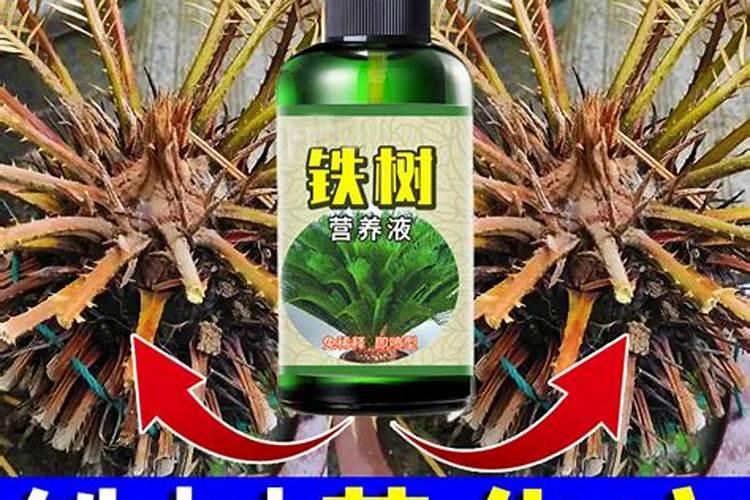 施力牛高钙高钾辣椒专用肥多少钱一桶20kg