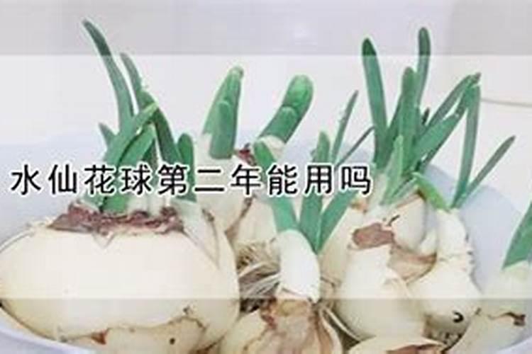 金典纯牛奶质量怎么样 金典牛奶好不好