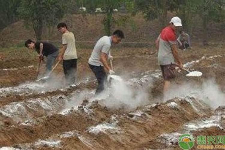 中国十大水溶肥料品牌
