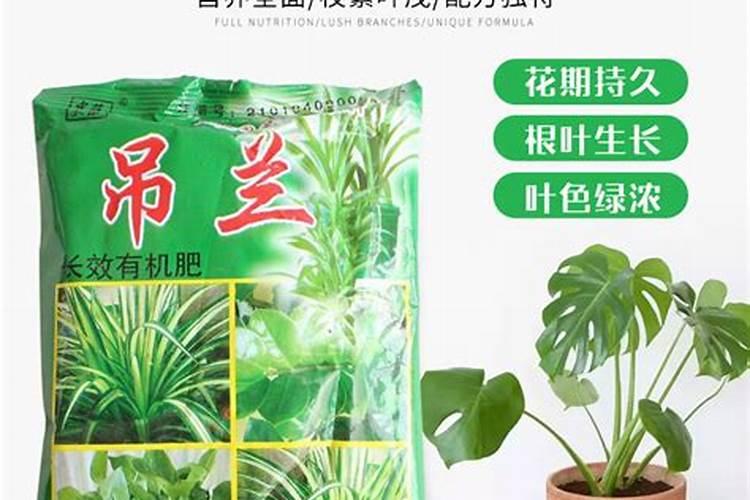 有机肥料可以直接种花吗