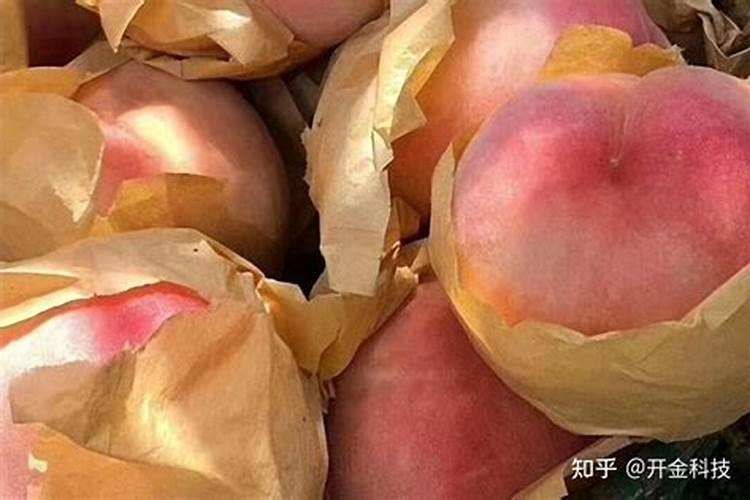 桃树一年要施几次肥 桃树如何施肥
