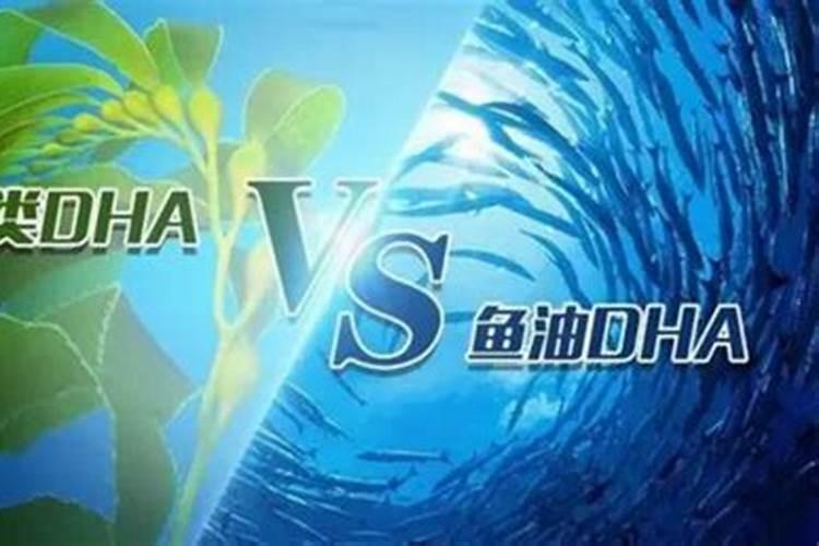 详解海藻颗粒肥海粒子