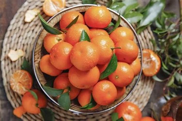 沙糖桔应该几月份施钾肥 如何做好种植管理