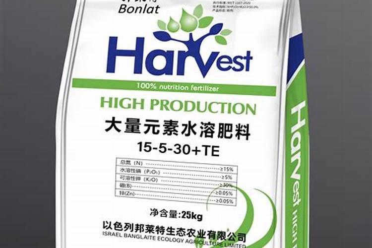 菊花怎样修剪打顶