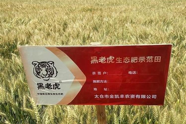 豆粕喂鱼是否直接喂就可以了