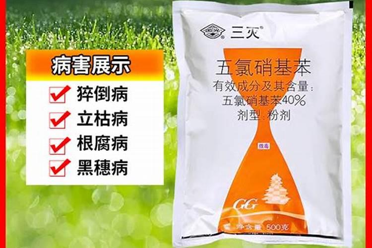 金桔柠檬茶的做法和配方窍门