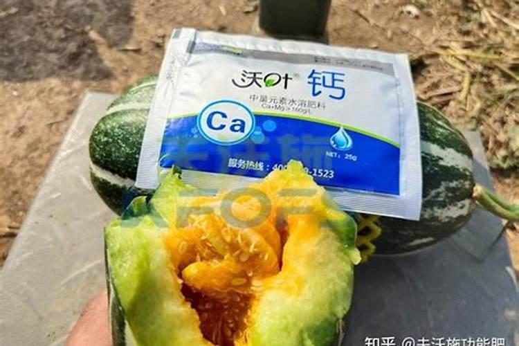 甜瓜打叶面肥的时期和叶面肥的选择有什么要点？