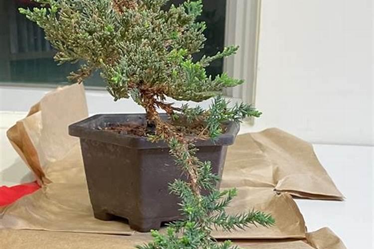 一亩地施多少磷肥合适  磷肥什么时间施最好