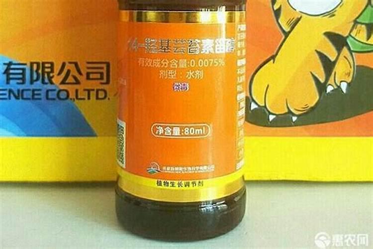 浇花用什么水好？