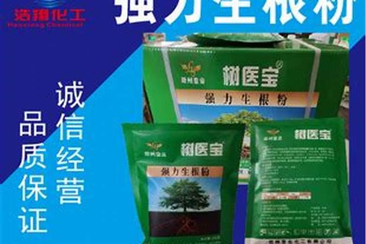 什么水溶肥能促进根系发达？果树如何育苗快速生根？