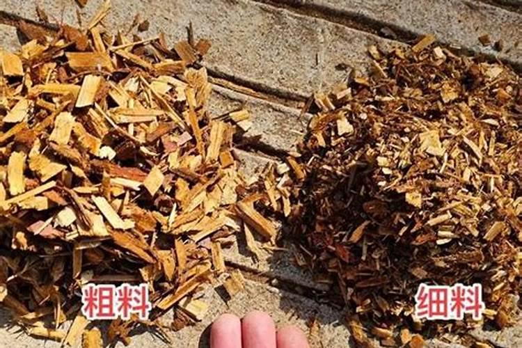 青蛙养殖有什么风险