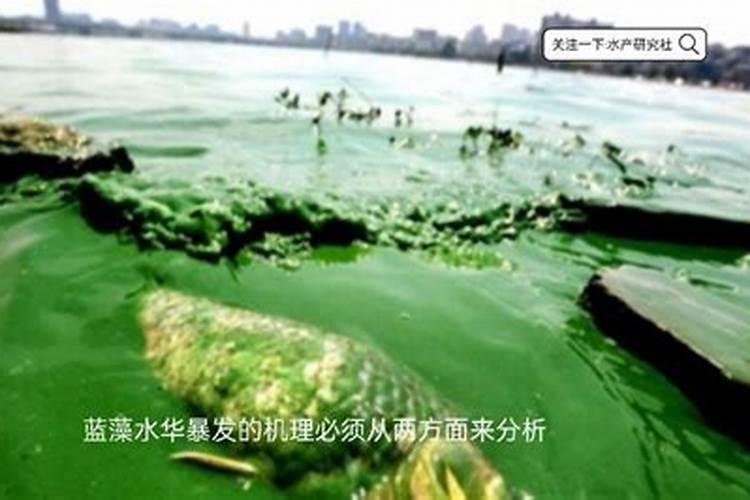 腐殖酸水溶肥什么情况下使用效果好