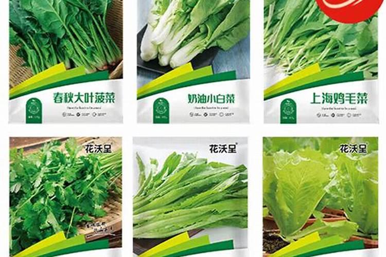 油麦菜用什么药控旺最好