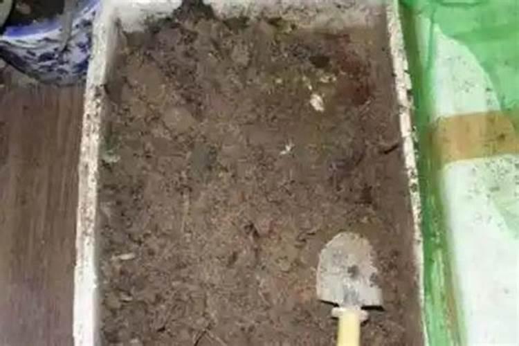 如何用好枯草芽孢杆菌？枯草芽孢杆菌的使用方法