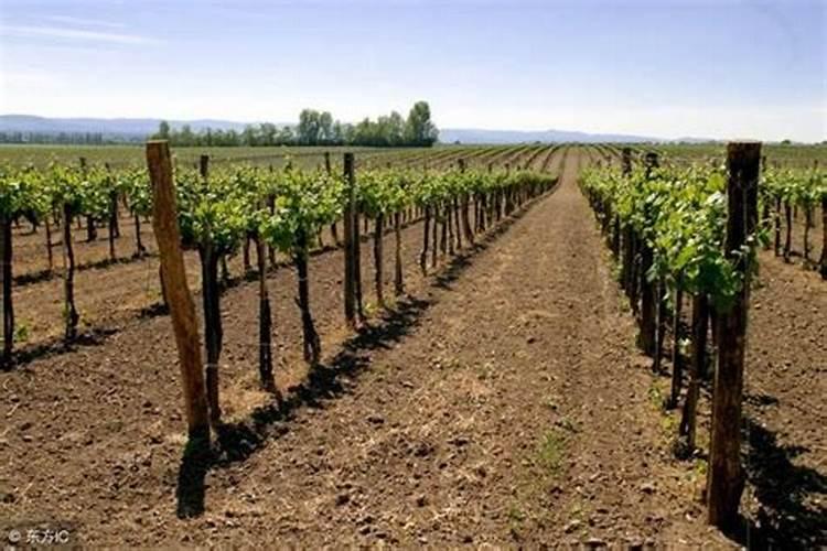 环保科技公司名字参考 如何给科技环保公司取名