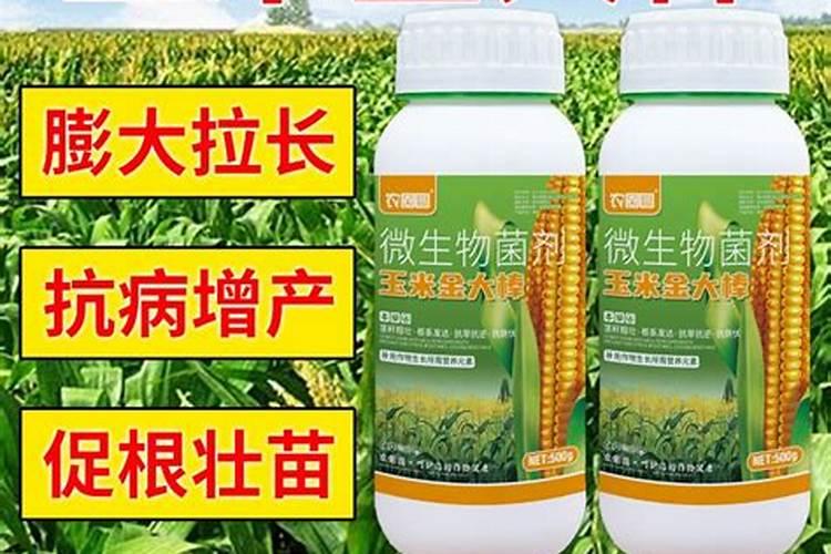 能提苗的玉米专用叶面肥吗？