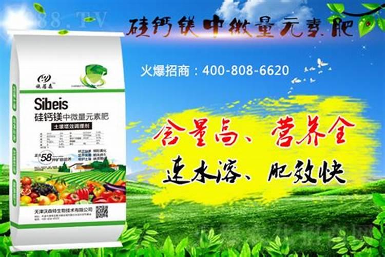 中国水溶肥十大品牌