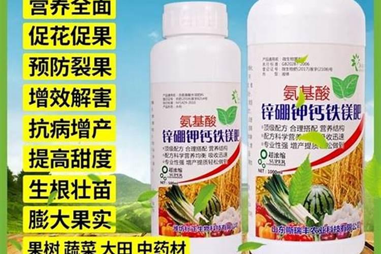 我家买的橙子肉颜色很重,是不是里面打色素了？