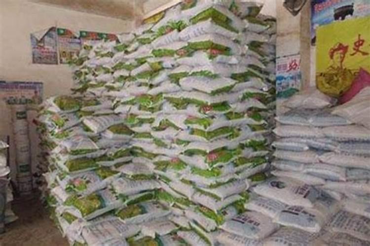 蟹爪兰开花时能施肥吗