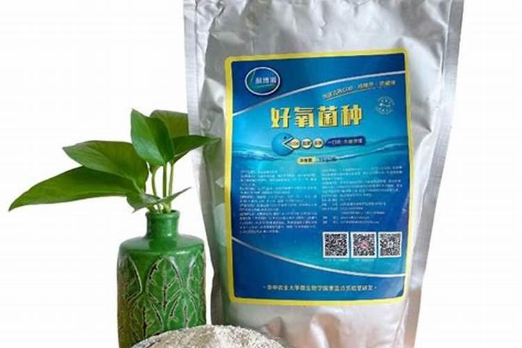 硝化细菌提高含量