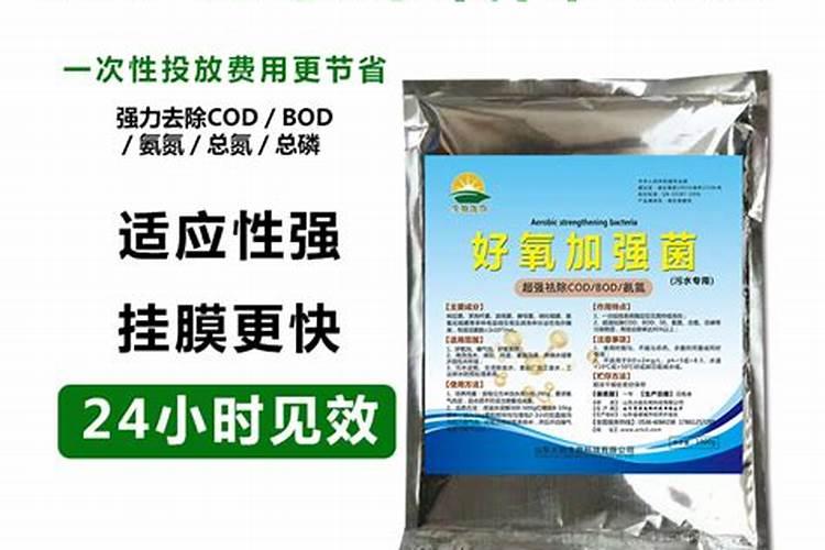 影响堆肥效果的因素有哪些