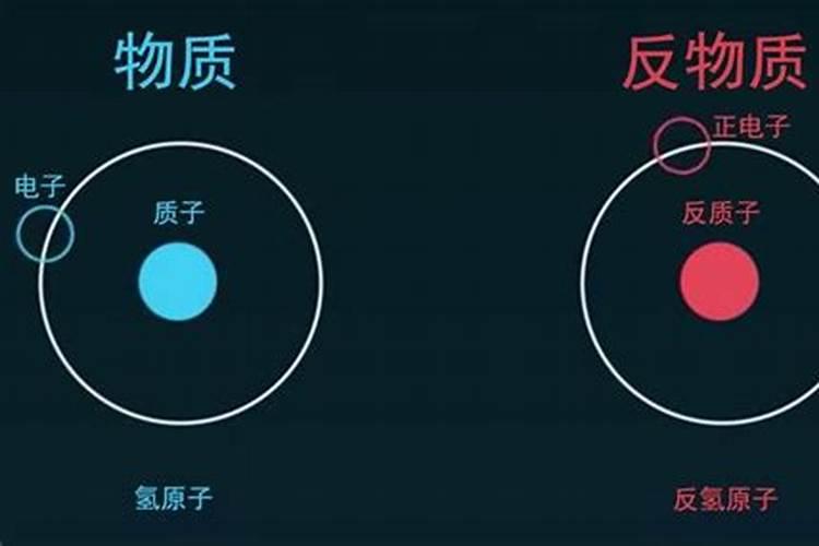 扶桑花施什么肥 扶桑花怎么施肥