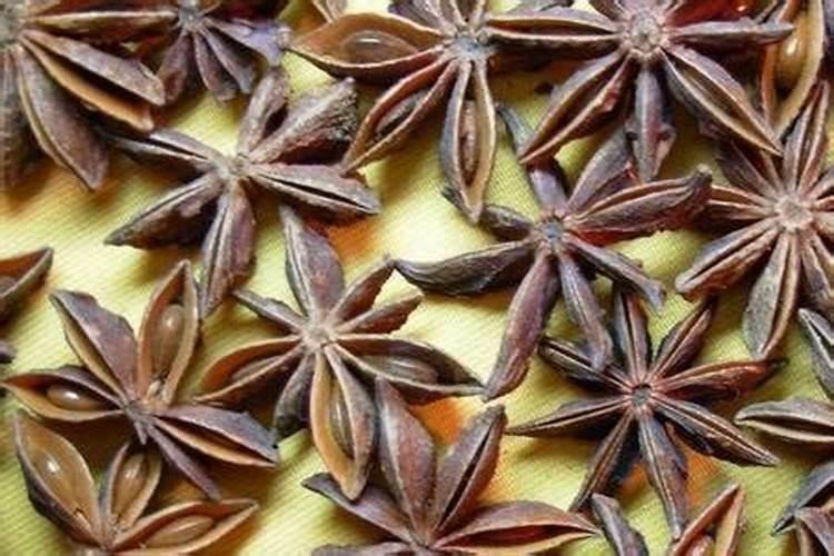 八角施什么肥最好