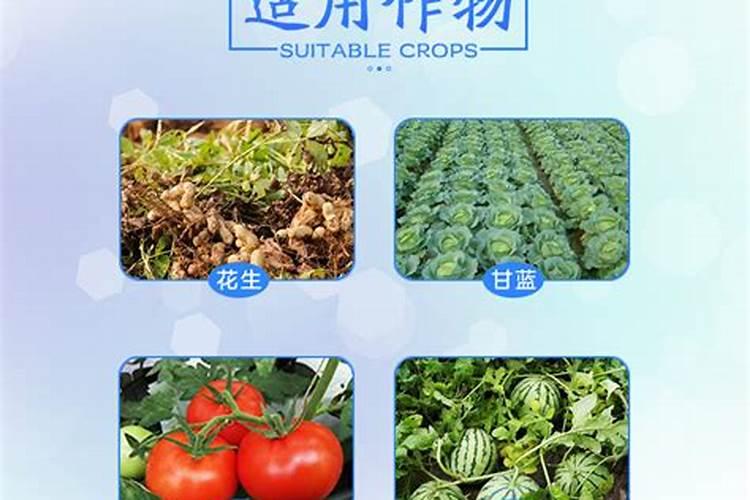 叶面肥2.5公斤一袋装价格表