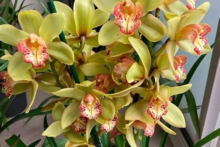 低糖食物有哪些？