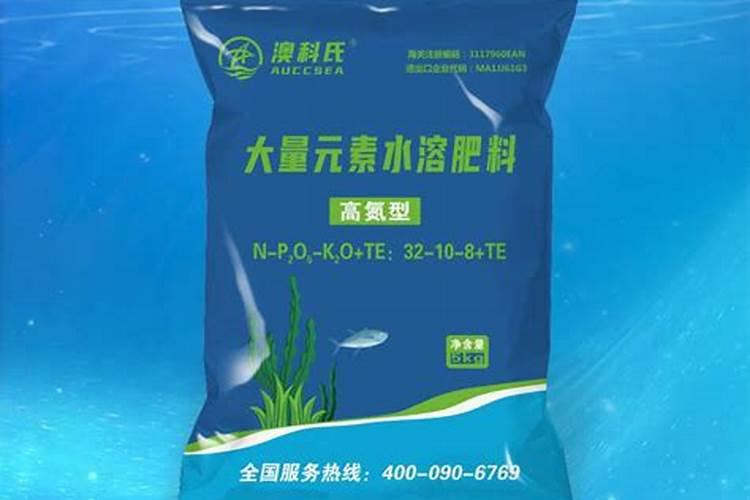 室内袖珍椰子怎么养护越长越饱满