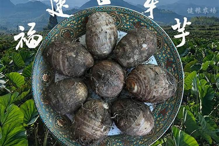 热情果和百香果的区别