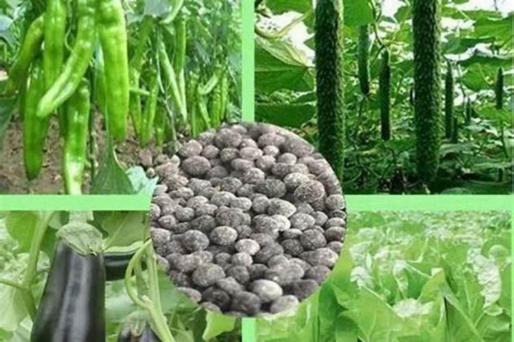 使用有机肥的好处是什么？