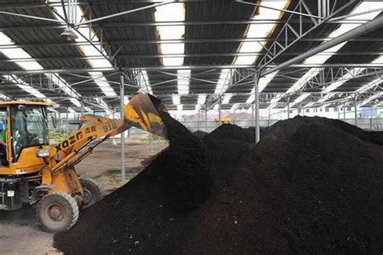 芽动力的的芝麻饼肥怎么样