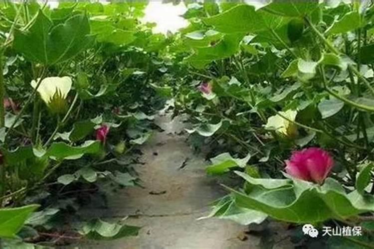 污染问题的原因