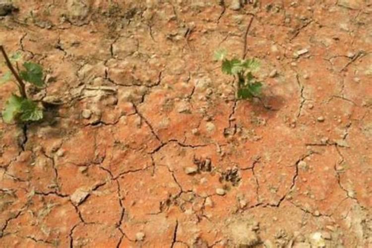 什么化肥会使土壤板结,化肥是什么原料做的