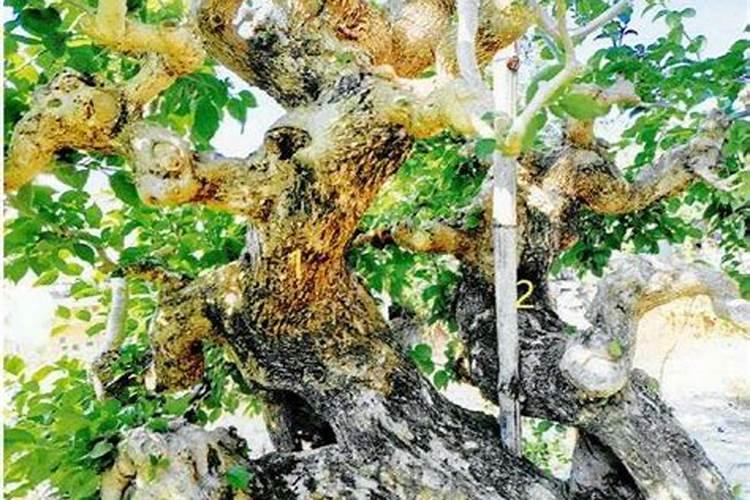 如何提高肥料的利用率