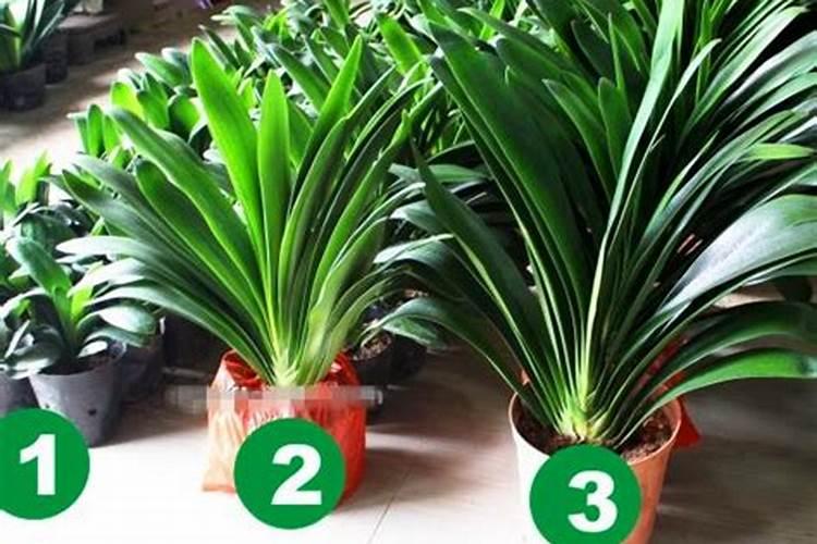 比硫酸还厉害的王水,连黄金都能轻松溶解,涨知识了