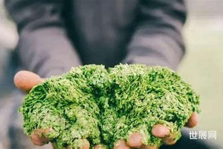 敌草快与草铵膦有何区别