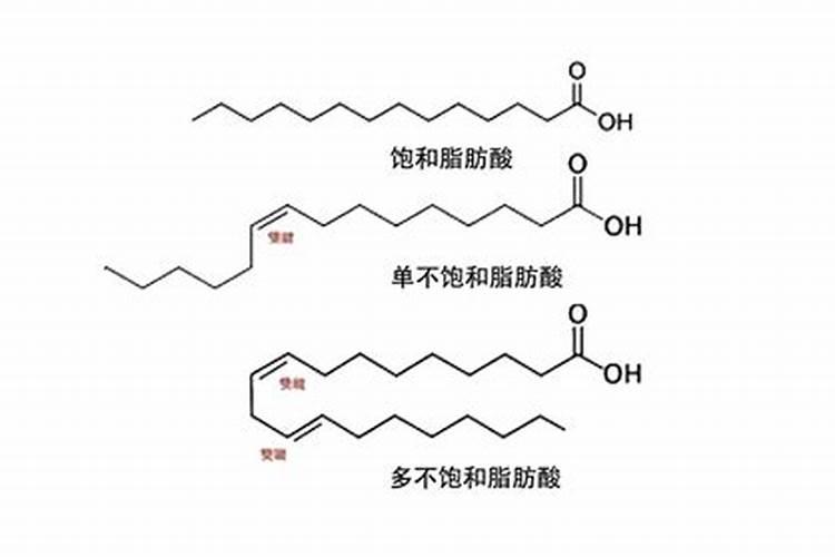 磷化工 是什么