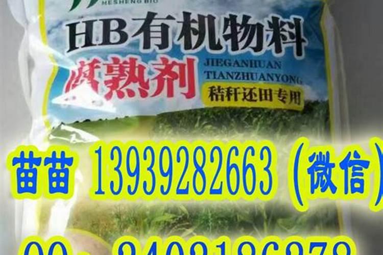 鸿运当头花价格 多少钱一盆