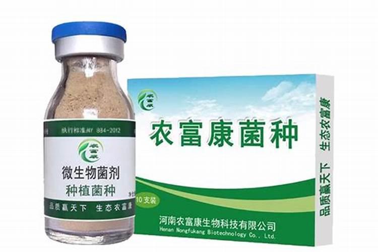 云南鲁甸特产:小寨樱桃