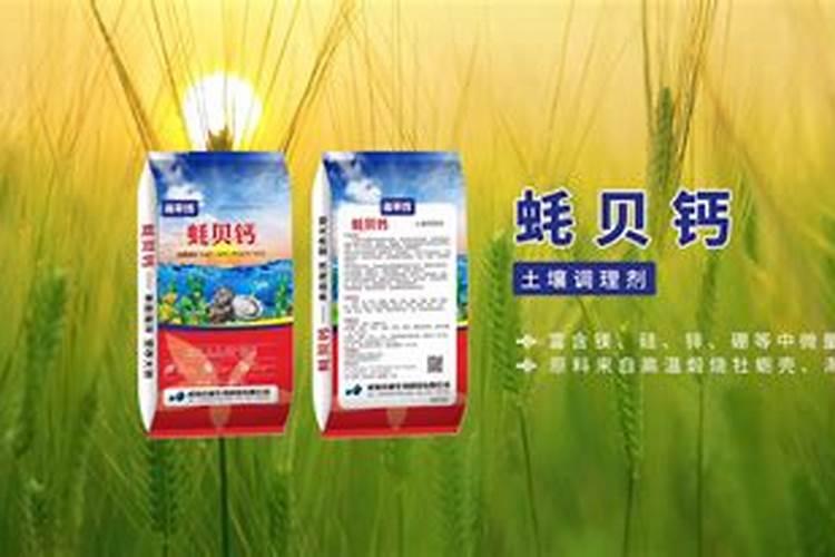 中国最早的方便面是什么牌子？